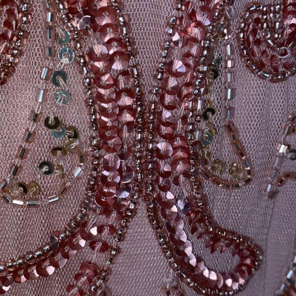 Pisarro Nights NWT Mesh cocktail dress - Picture 7 of 7